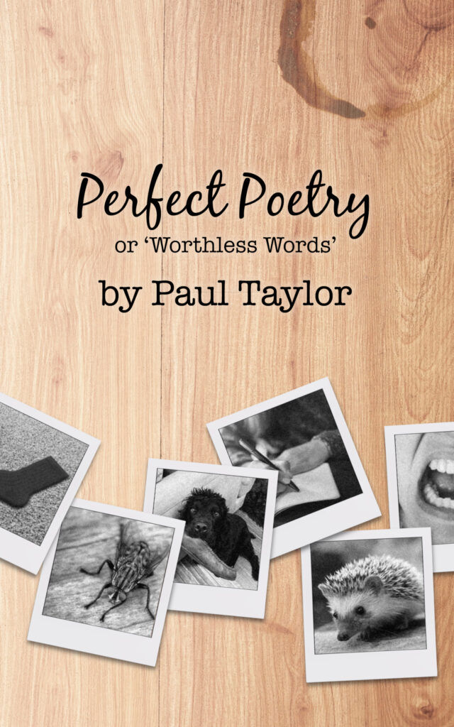 Perfect Poetry book cover
